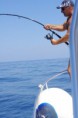/album/fotogaleria-inicio1/a39150-409147850909-728160909-5105570-1914548-n-jpg/